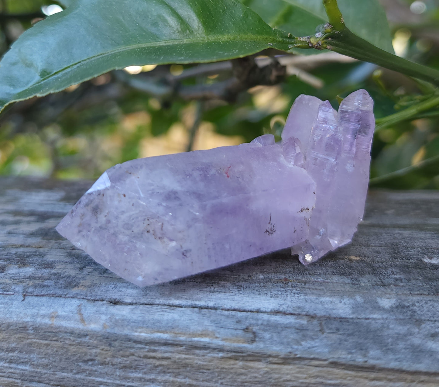 Vera Cruz Amethyst Specimen