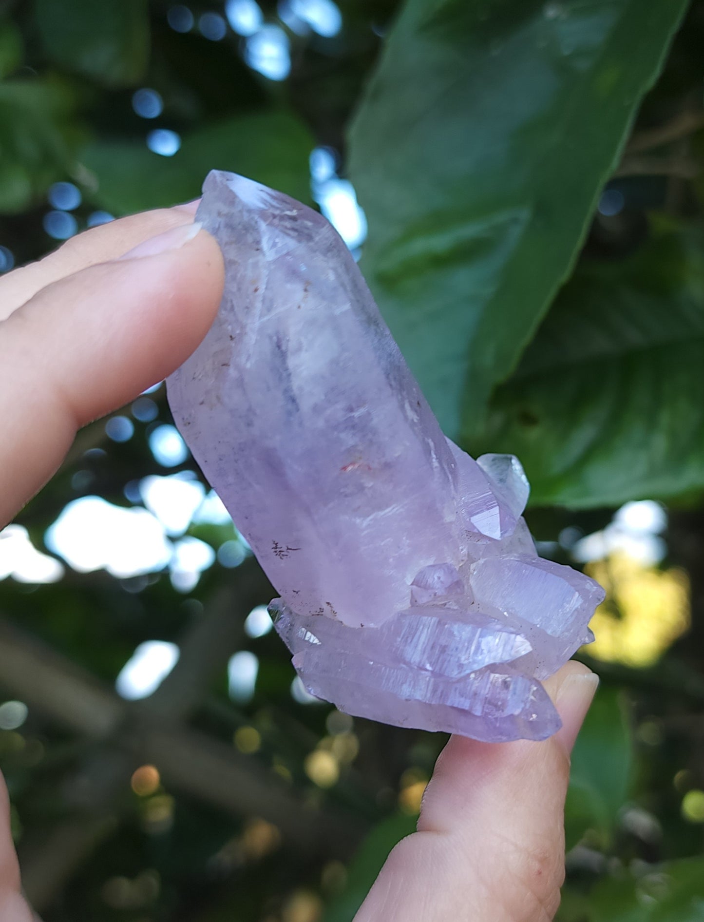 Vera Cruz Amethyst Specimen