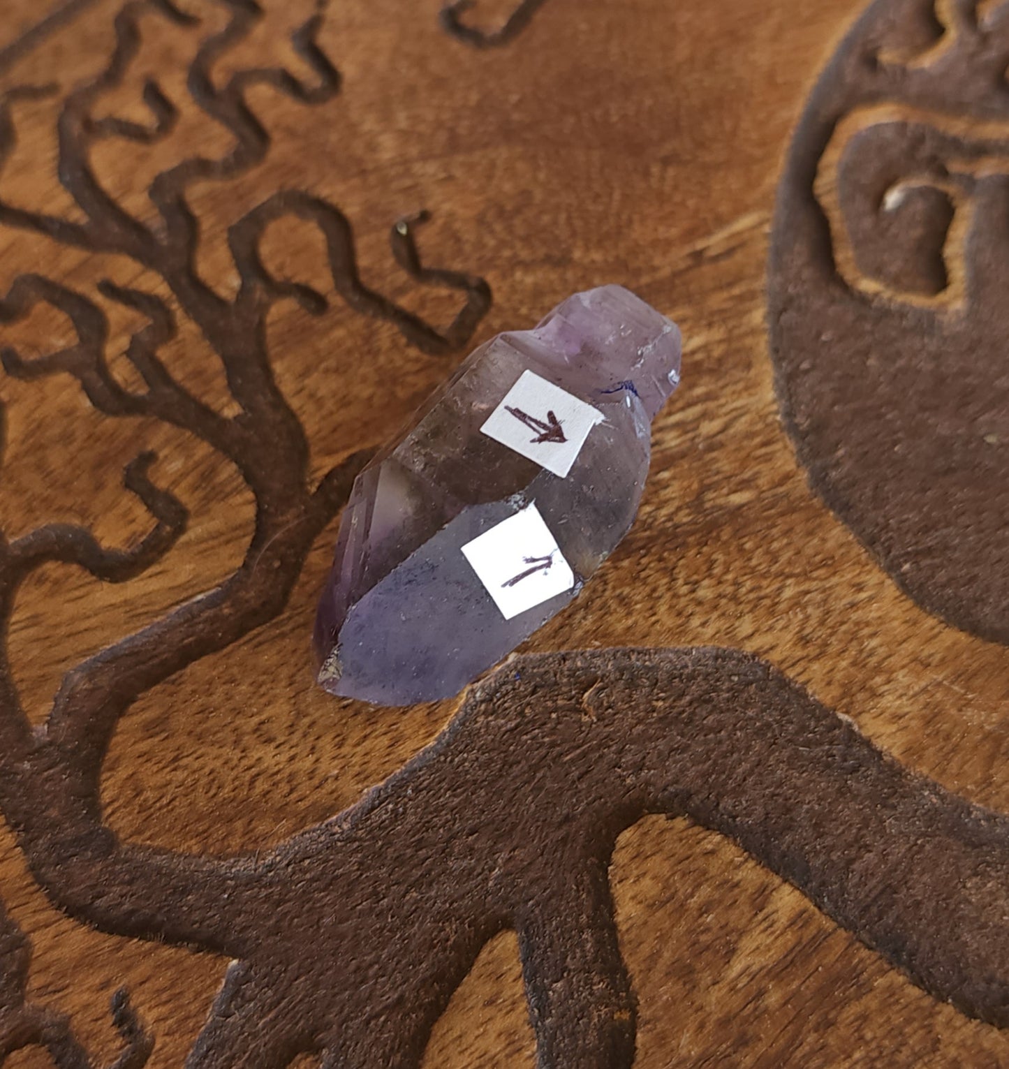 Smoky Amethyst Scepter Enhydro