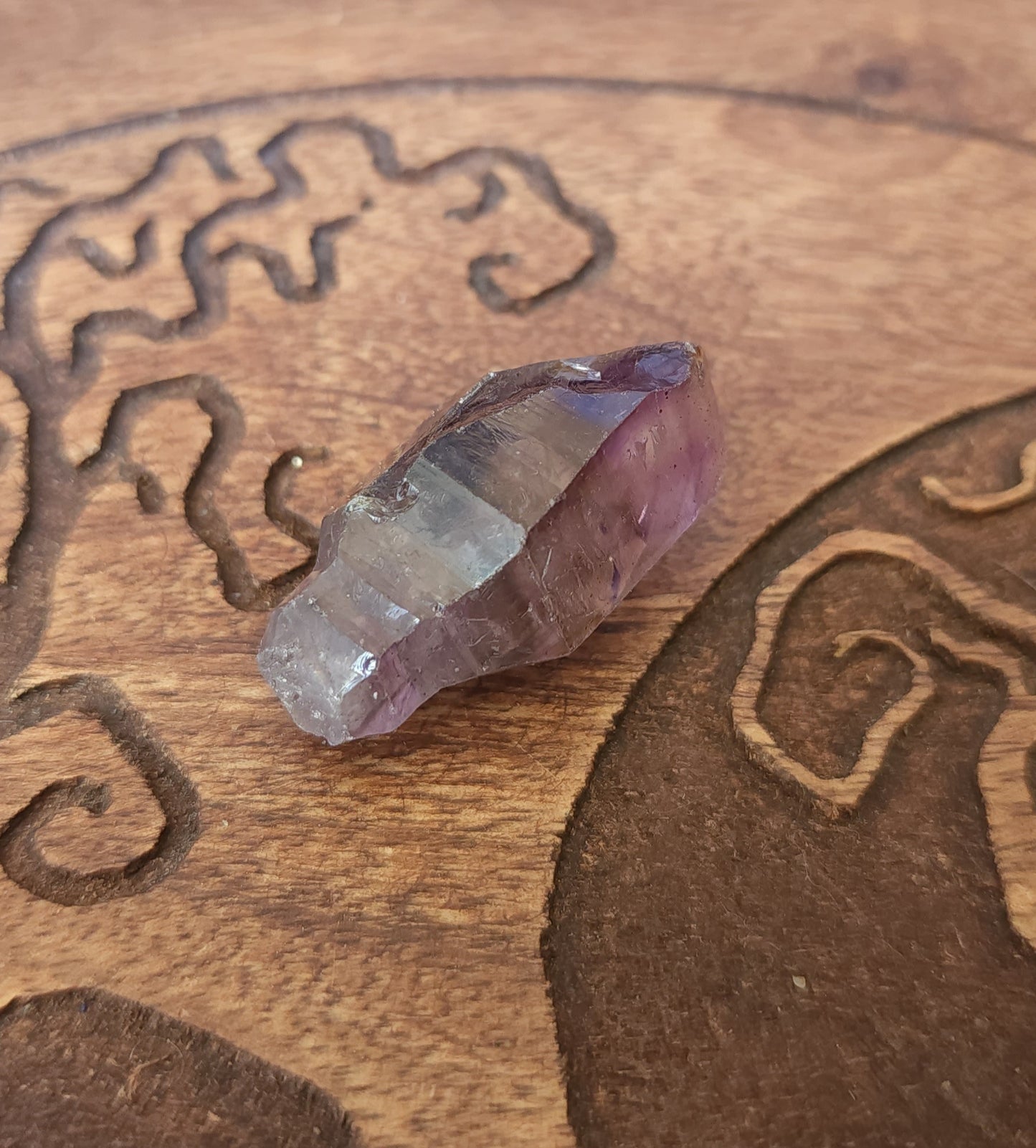Smoky Amethyst Scepter Enhydro
