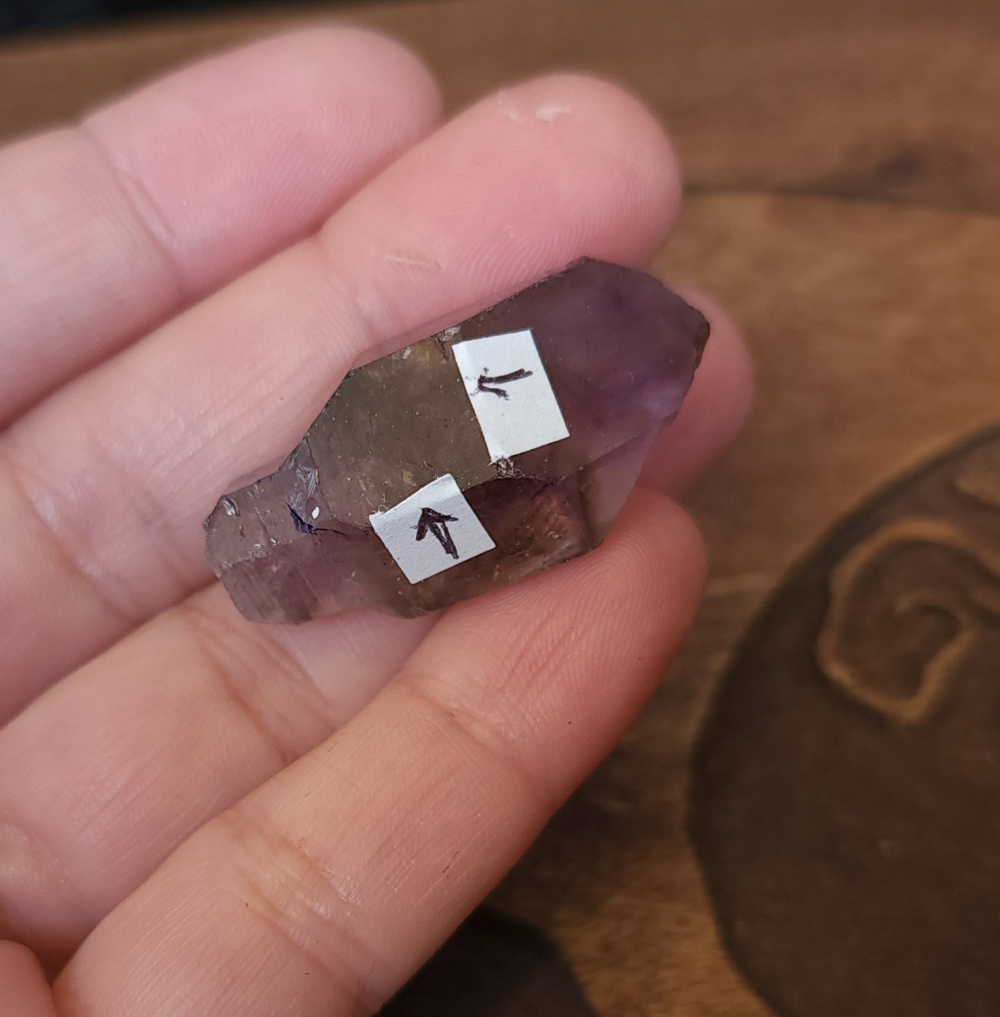 Smoky Amethyst Scepter Enhydro