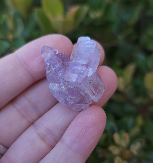 Vera Cruz Amethyst Specimen