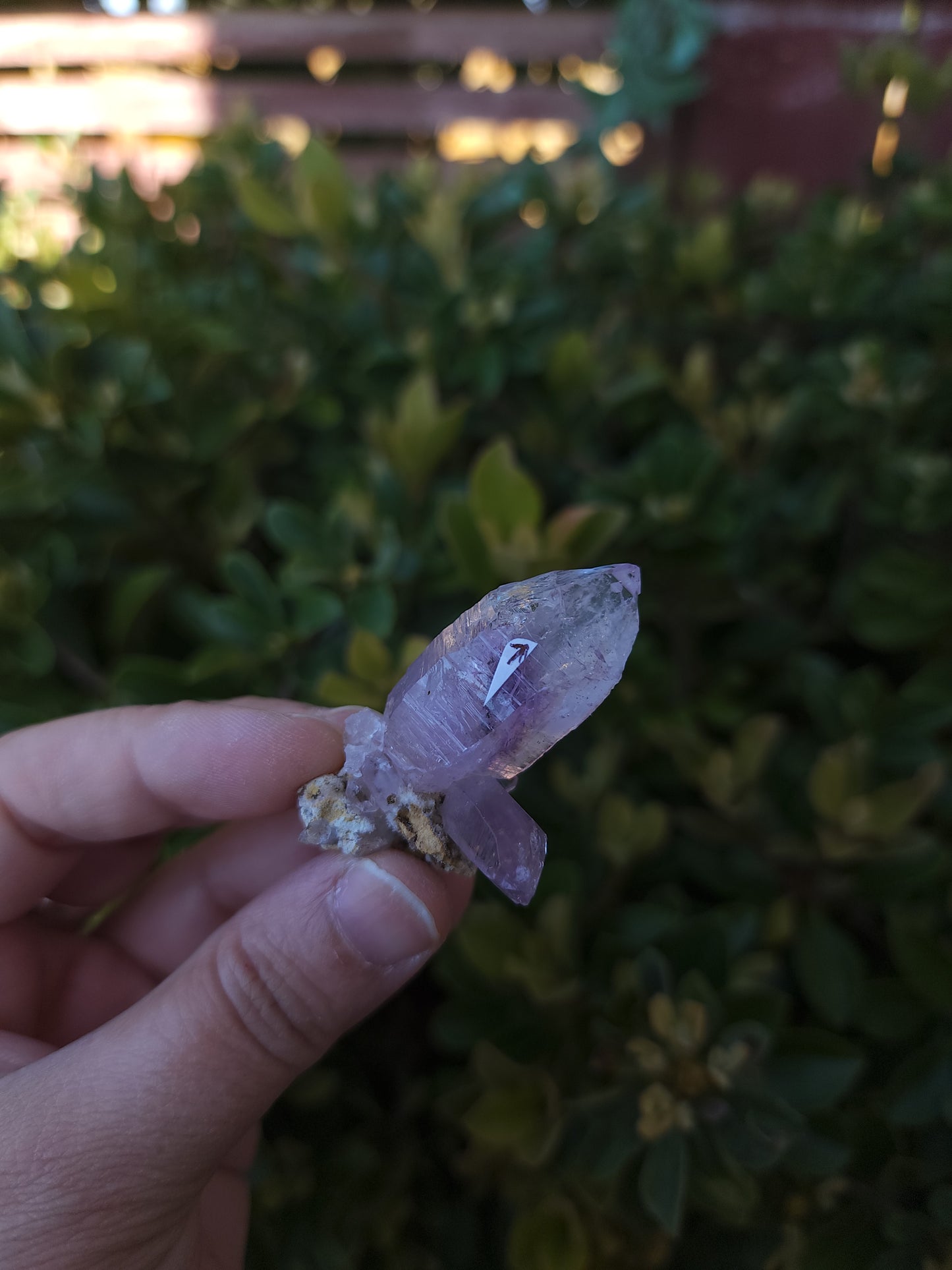 Vera Cruz Amethyst Specimen