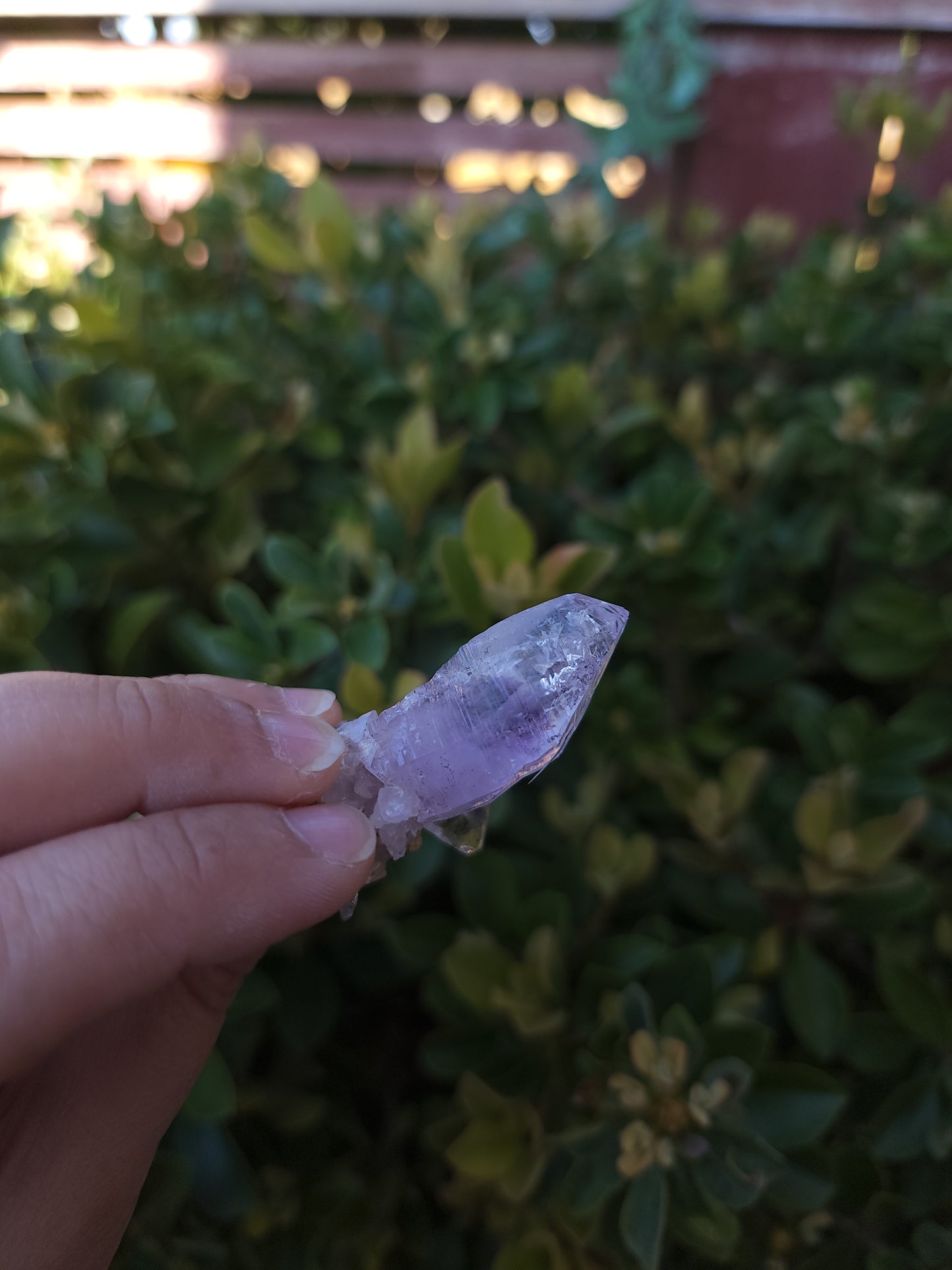 Vera Cruz Amethyst Specimen