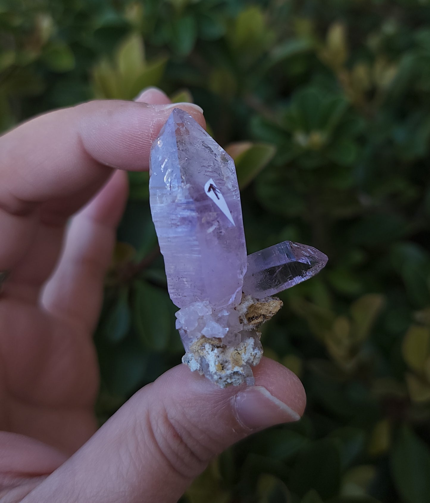 Vera Cruz Amethyst Specimen