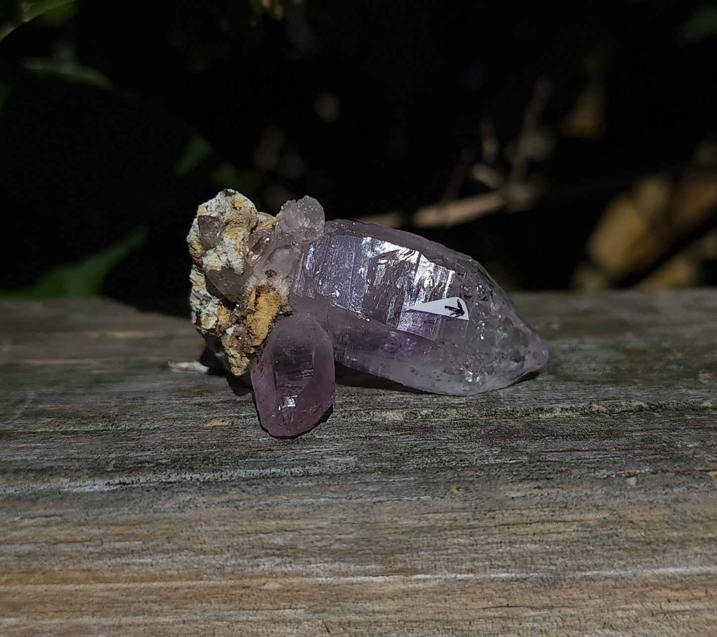 Vera Cruz Amethyst Specimen