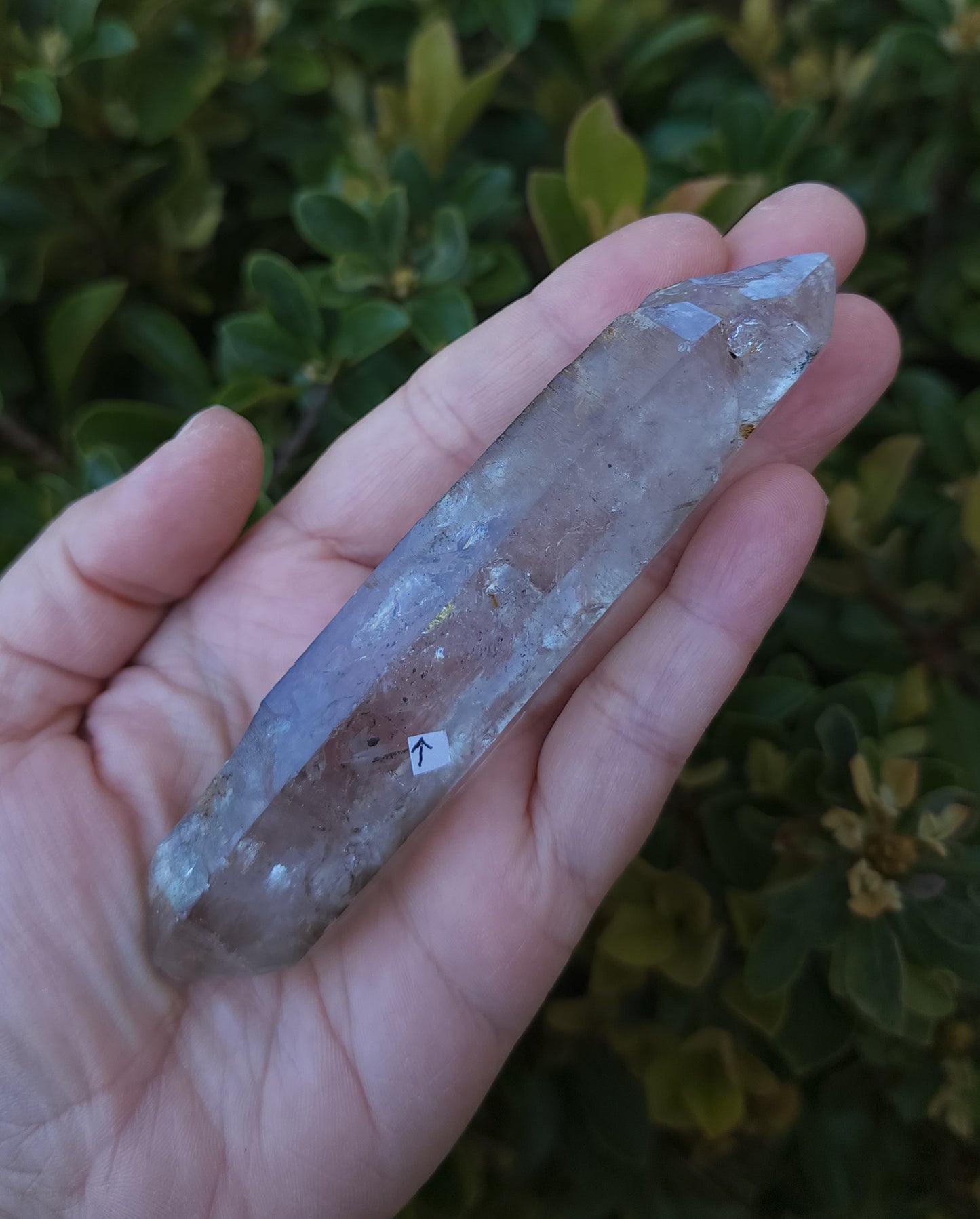 Double Terminated Clear Quartz Enhydro Wand