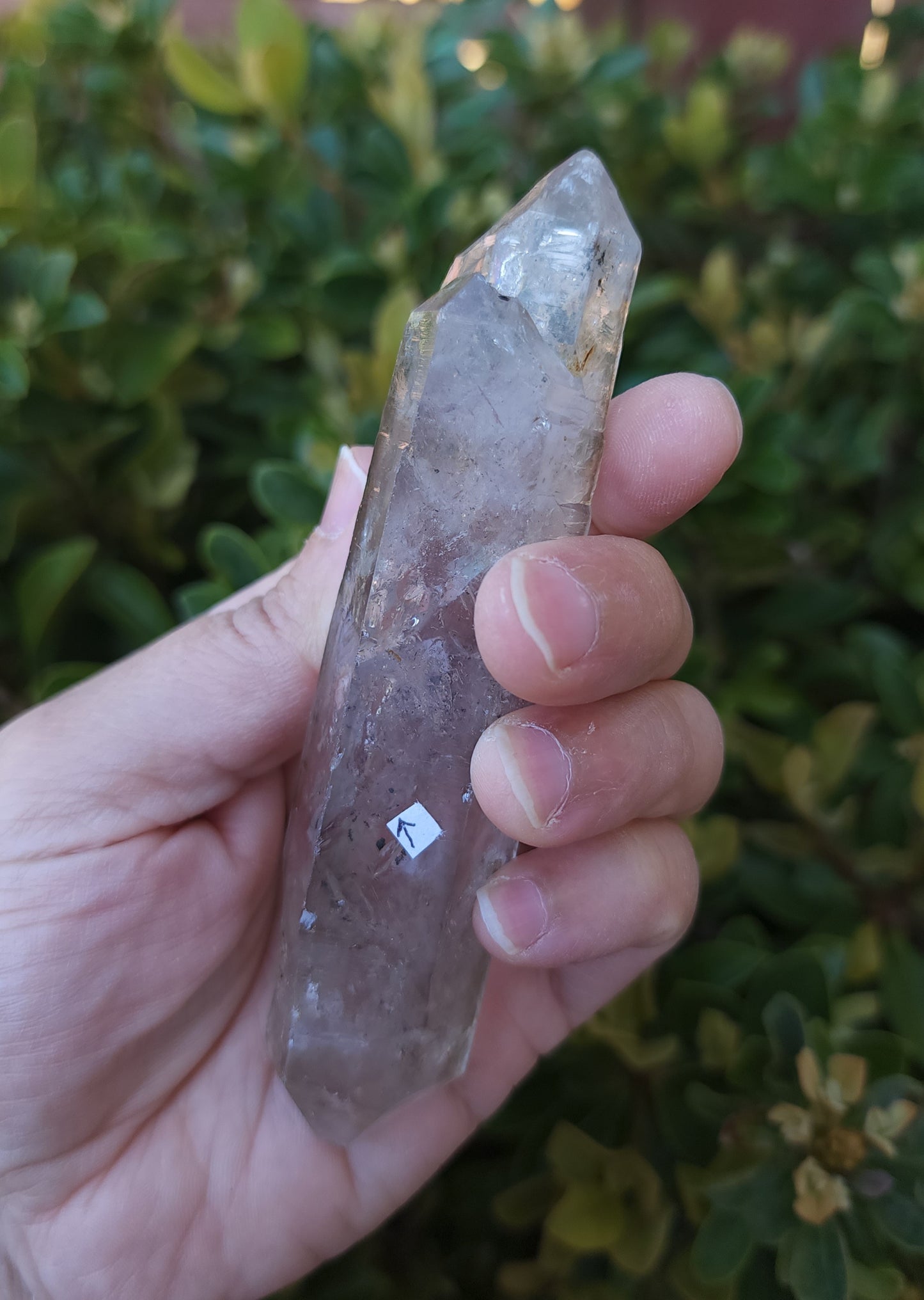 Double Terminated Clear Quartz Enhydro Wand