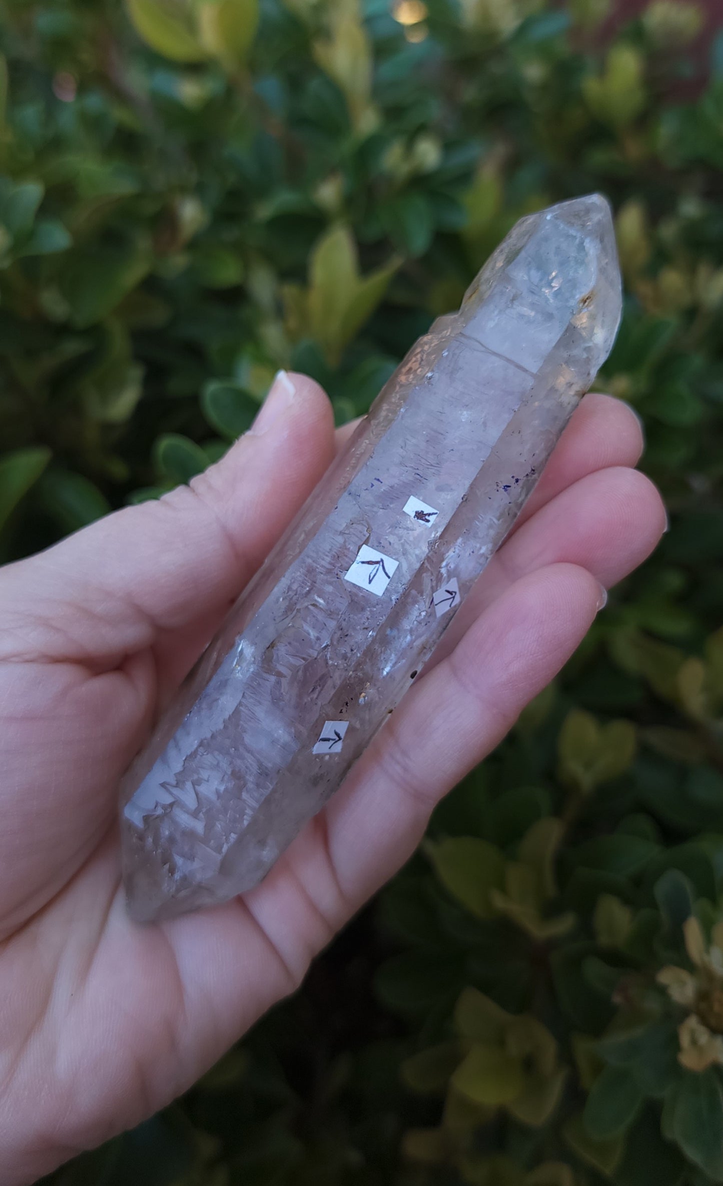 Double Terminated Clear Quartz Enhydro Wand