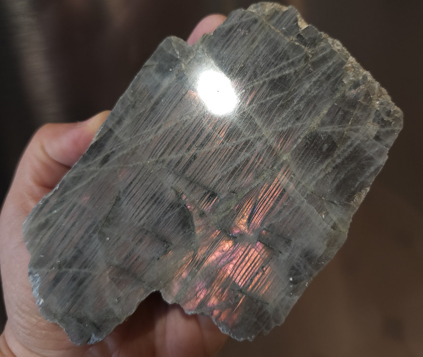 Part Polished Raw Labradorite - Pink/Purple/Orange