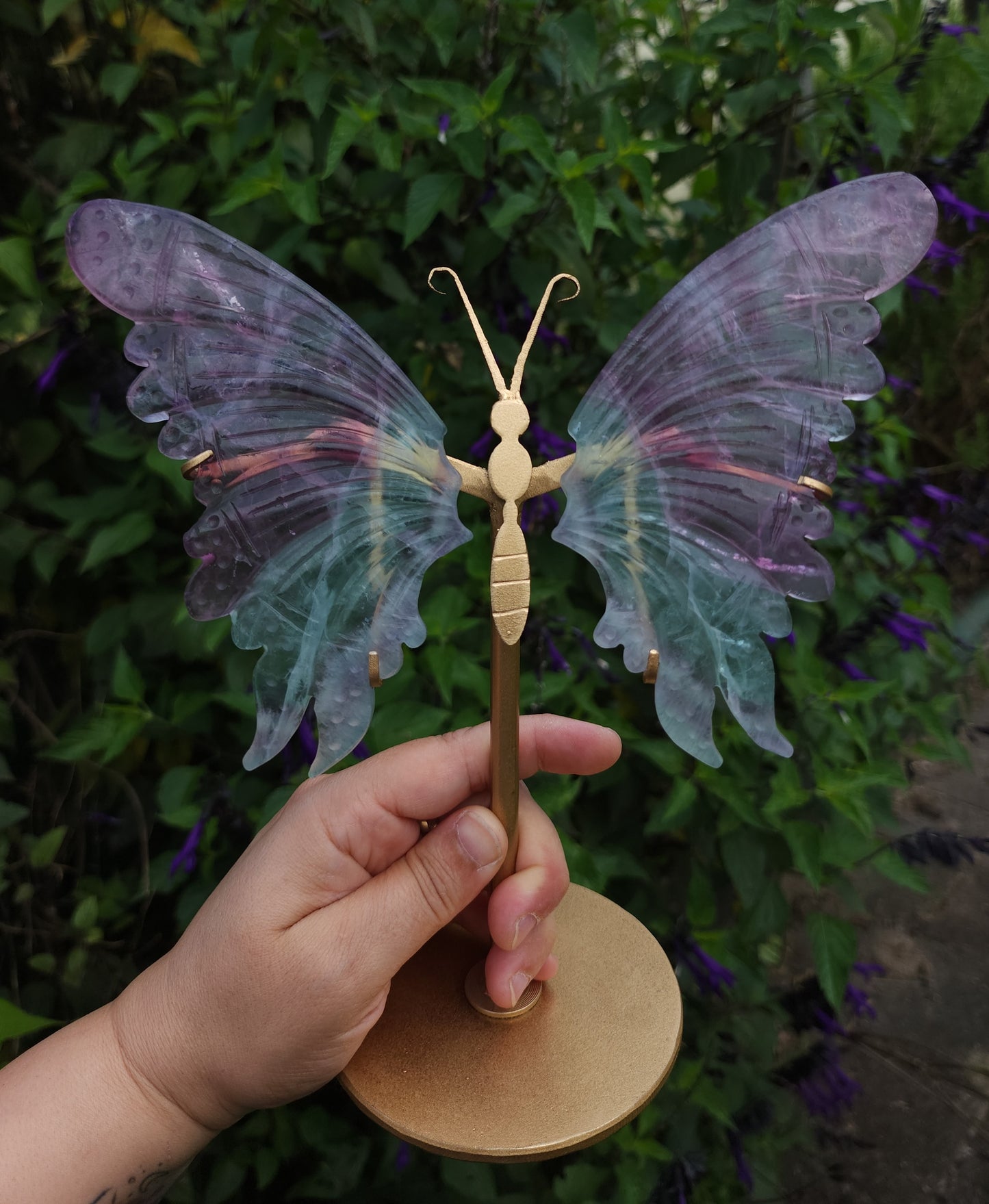 Fluorite Butterfly Wings