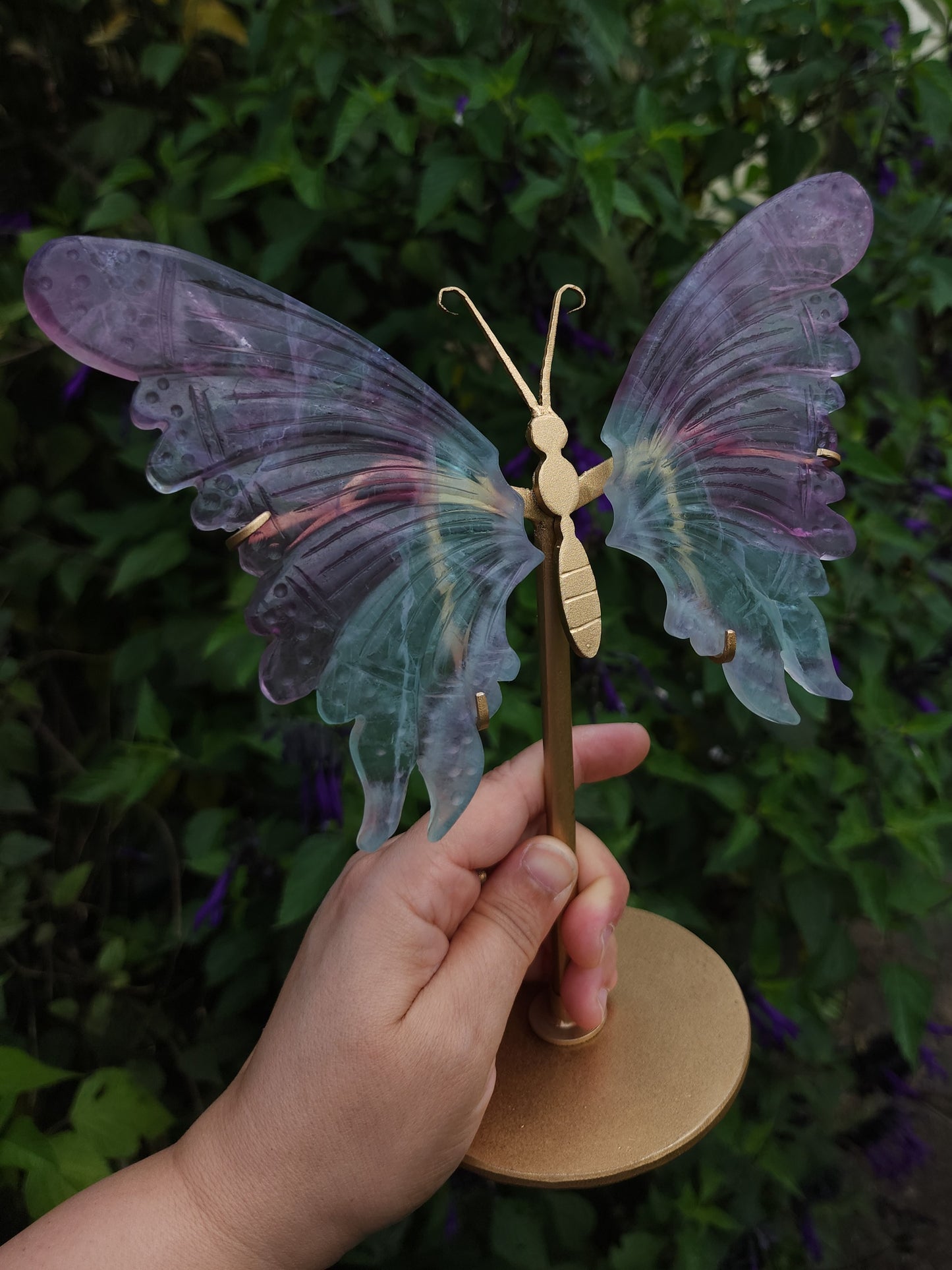 Fluorite Butterfly Wings