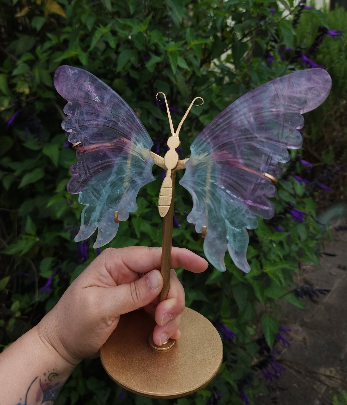Fluorite Butterfly Wings