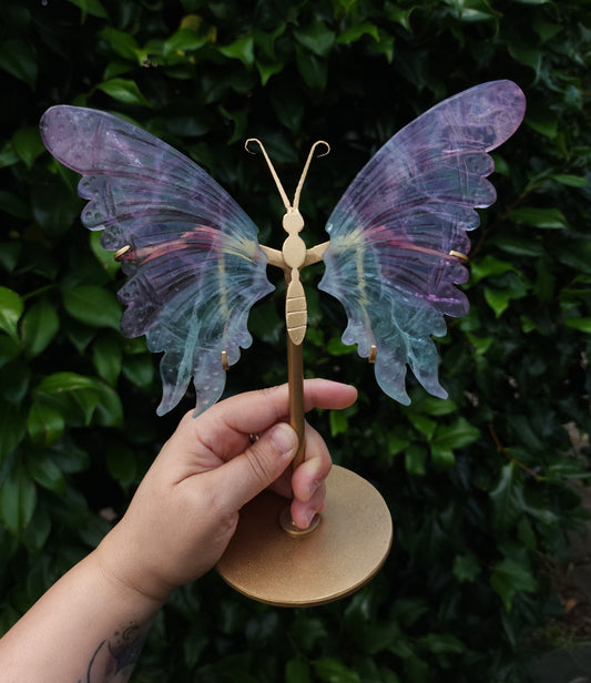 Fluorite Butterfly Wings