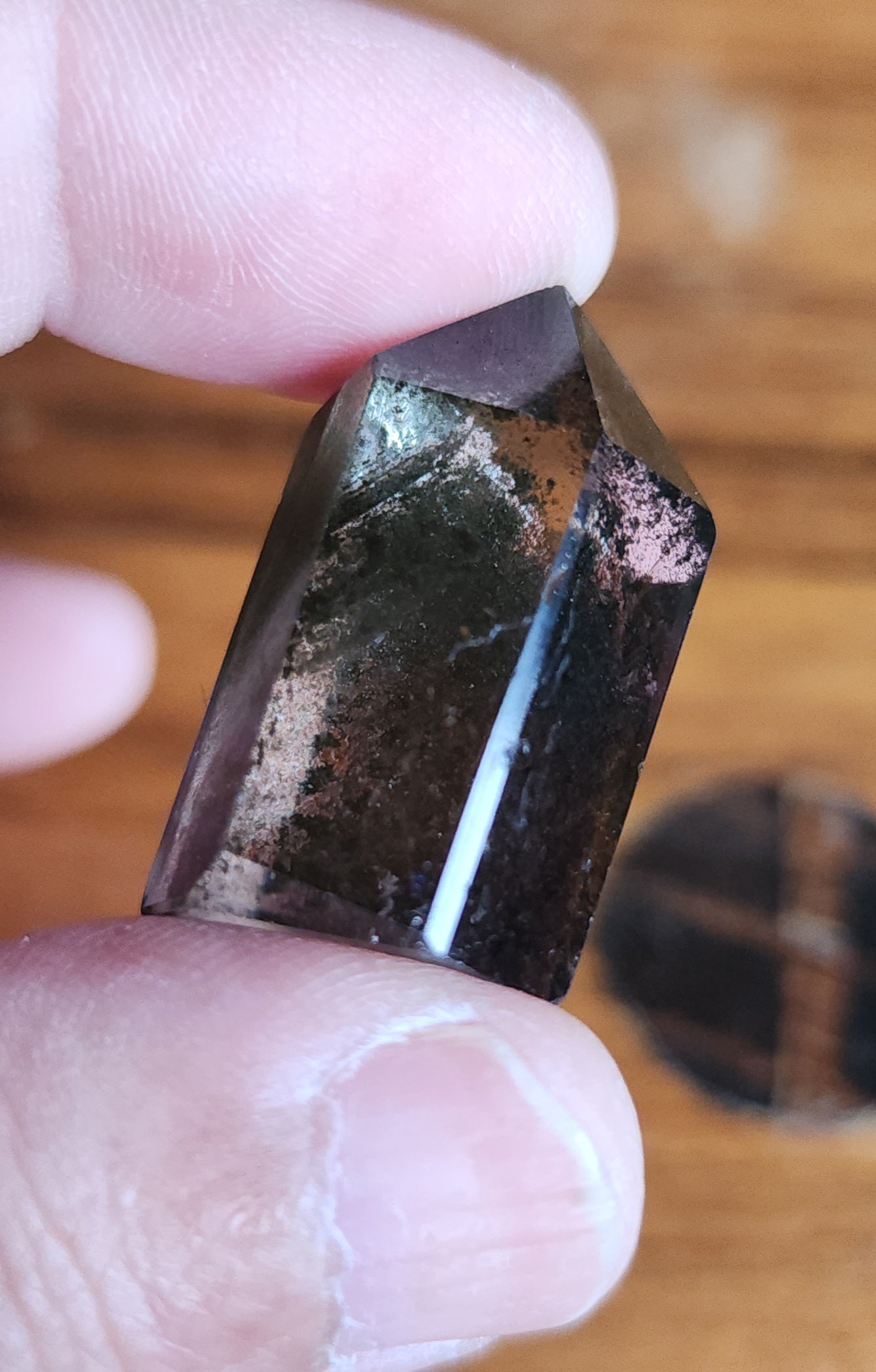 Lodolite Point AAA Garden Quartz