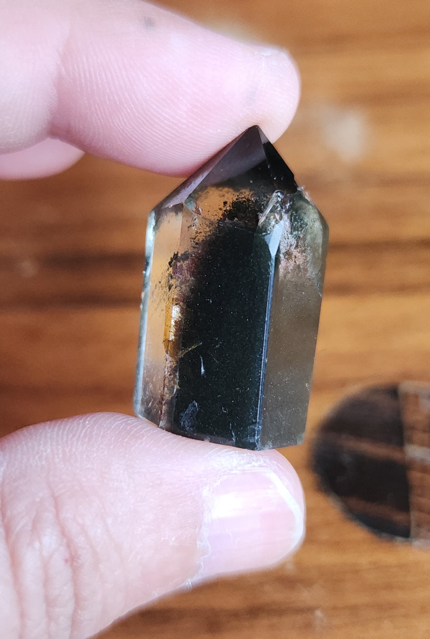 Lodolite Point AAA Garden Quartz