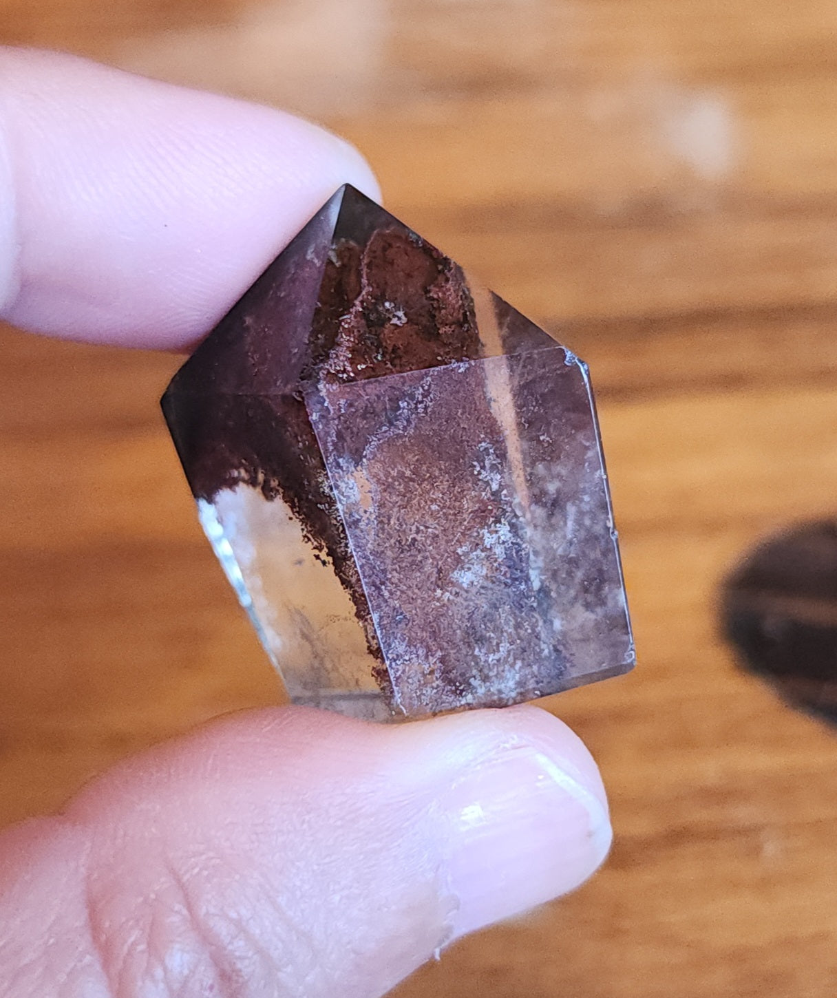 Lodolite Point AAA Garden Quartz