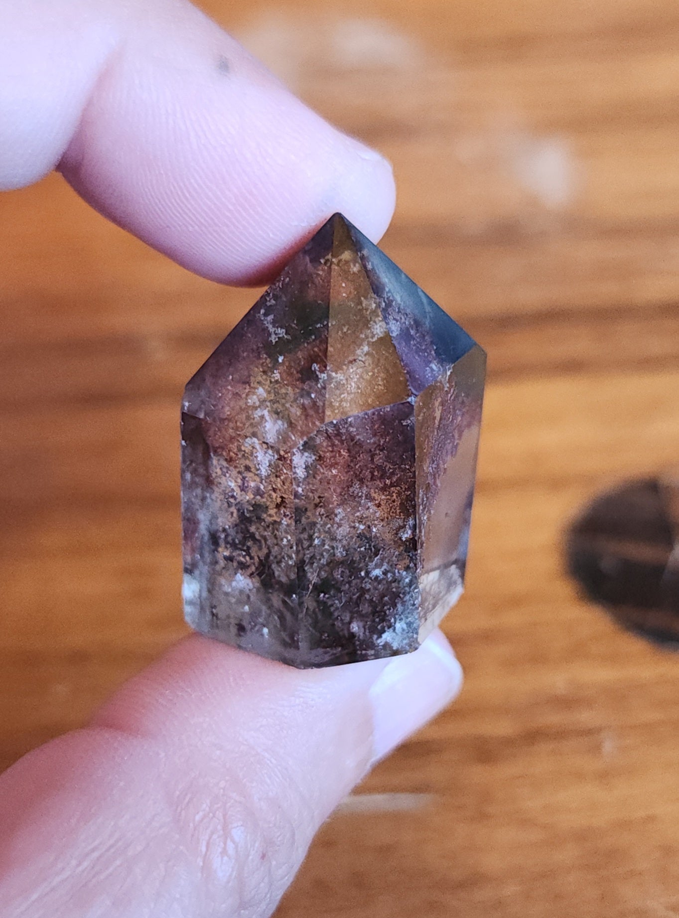 Lodolite Point AAA Garden Quartz