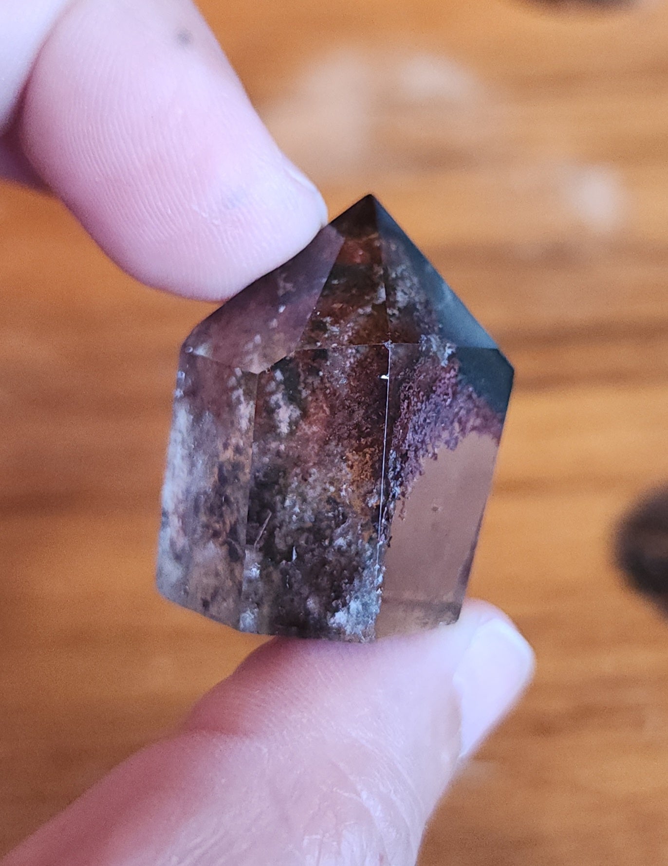 Lodolite Point AAA Garden Quartz