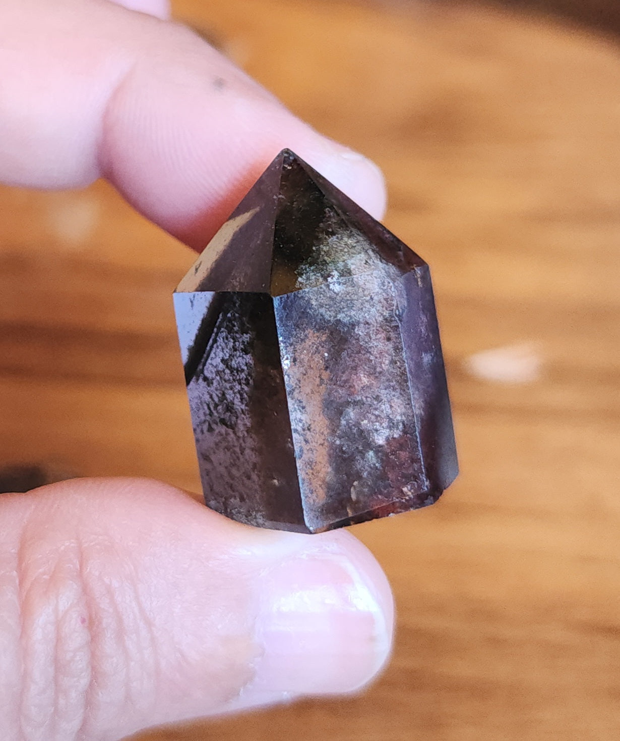 Lodolite Point AAA Garden Quartz