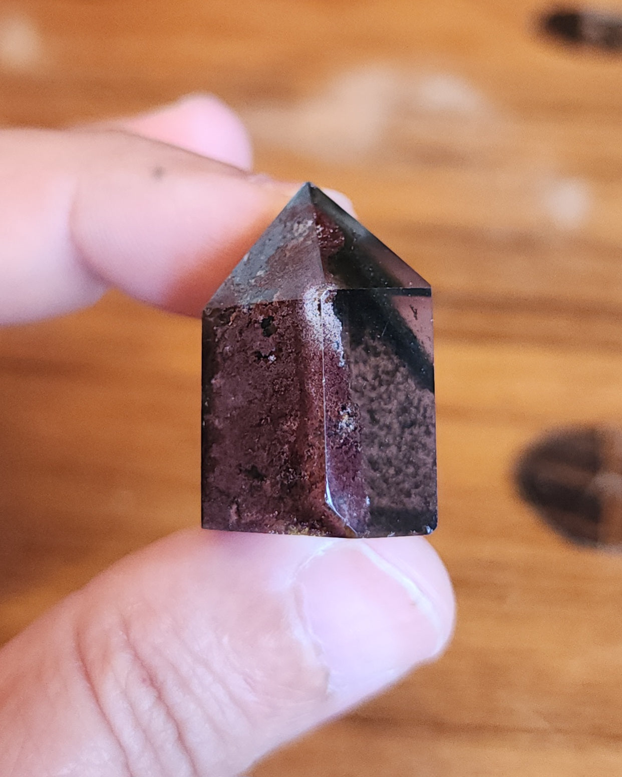Lodolite Point AAA Garden Quartz