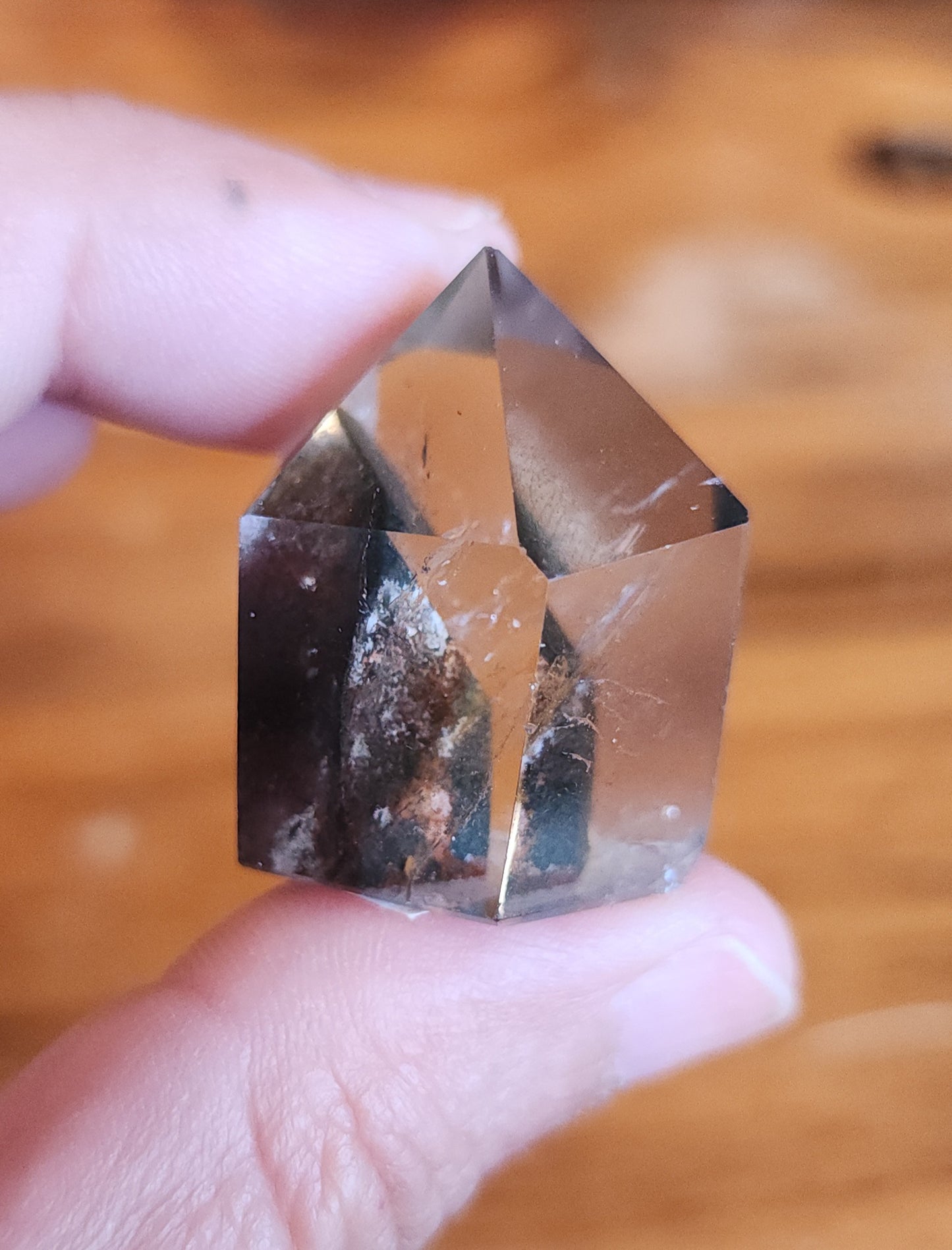 Lodolite Point AAA Garden Quartz