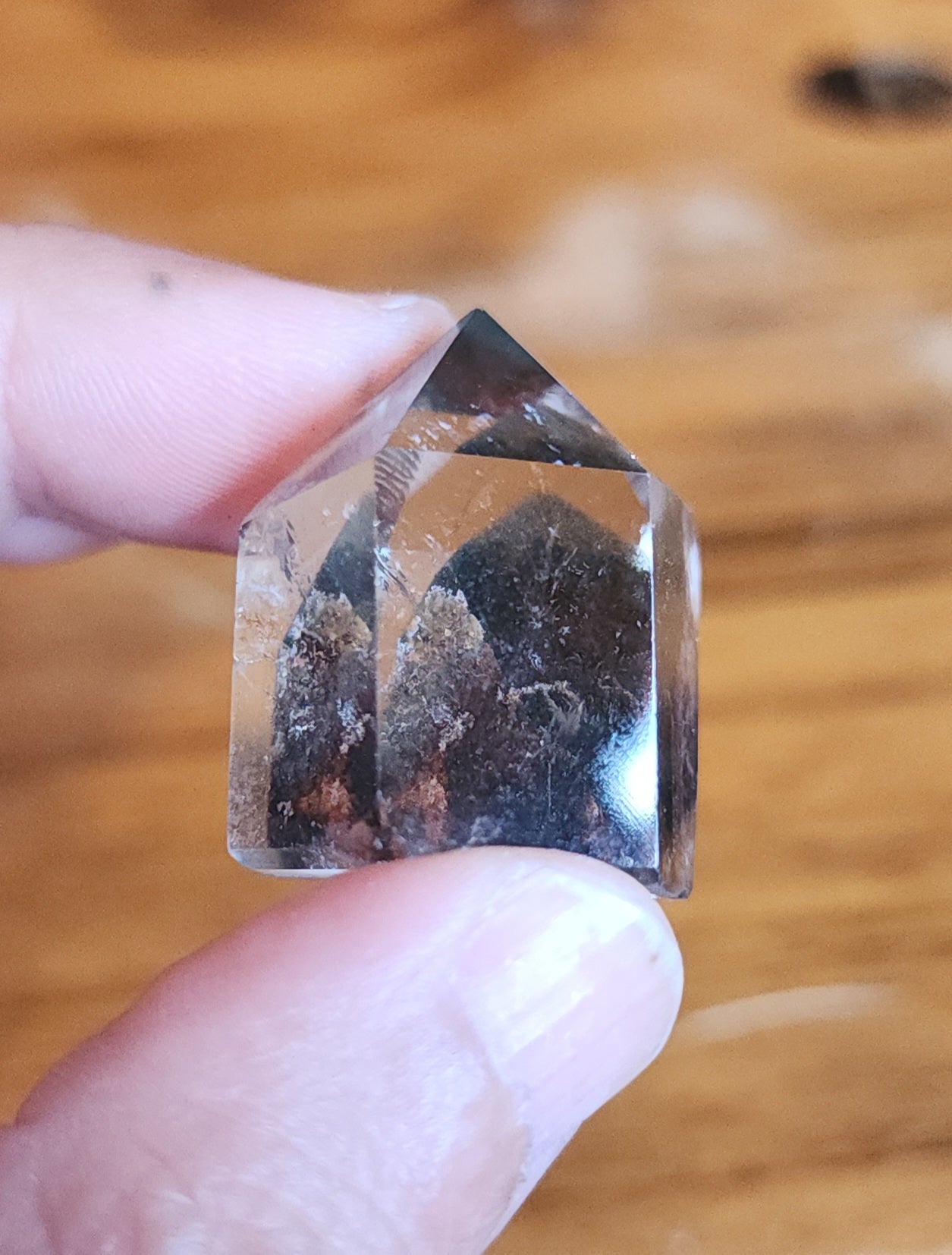 Lodolite Point AAA Garden Quartz