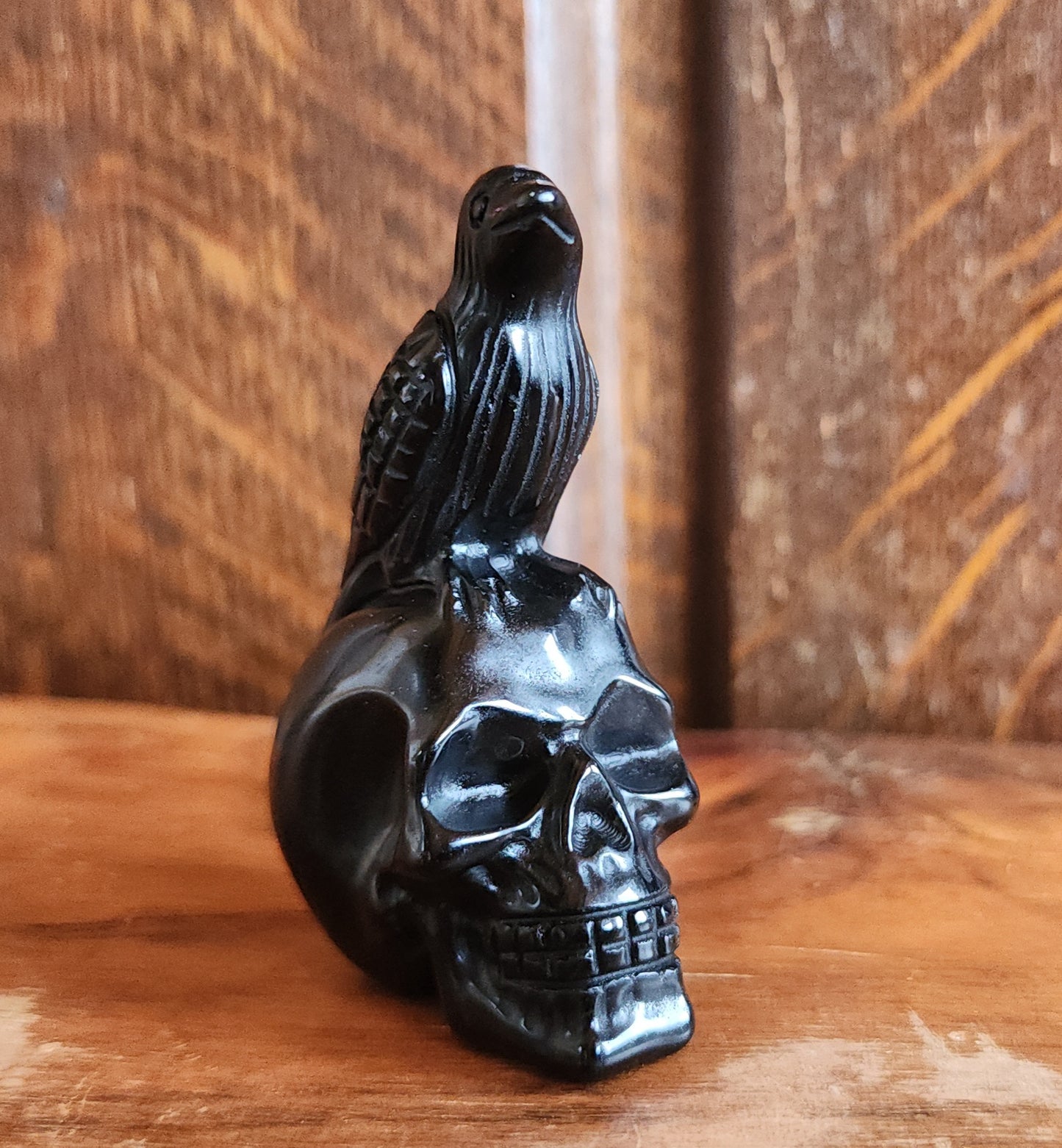 Obsidian Crow on Skull