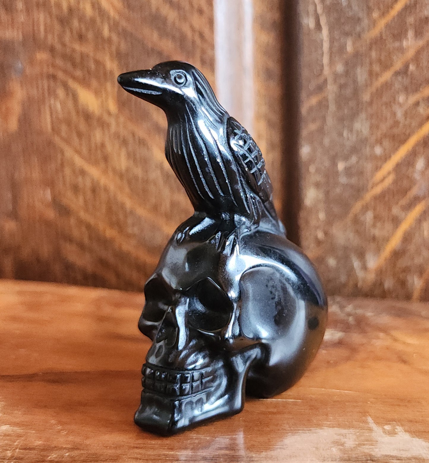 Obsidian Crow on Skull