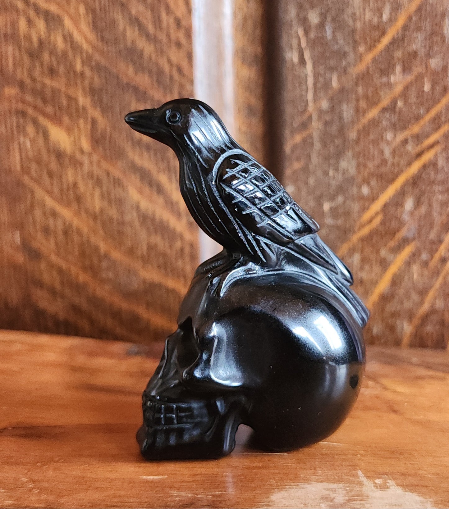 Obsidian Crow on Skull