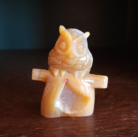 Agate Druzy Owl