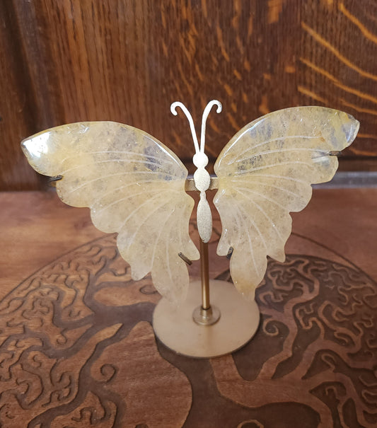 Golden Healer Butterfly