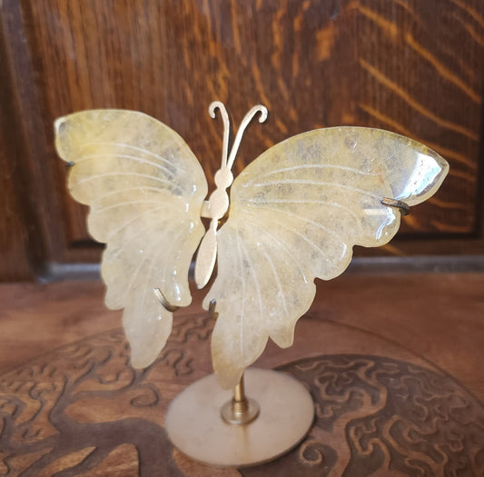 Golden Healer Butterfly