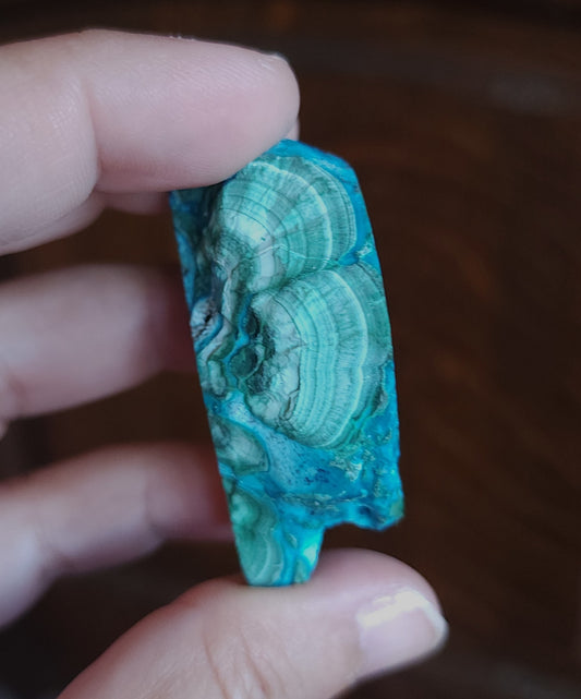 Malachite in Chrysocolla