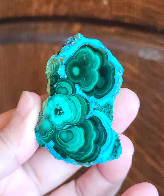 Malachite in Chrysocolla