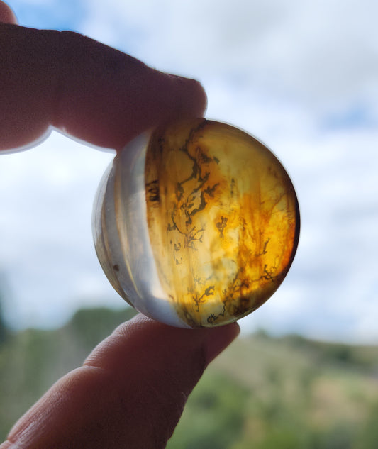 Dendritic Star Golden Healer Quartz Sphere