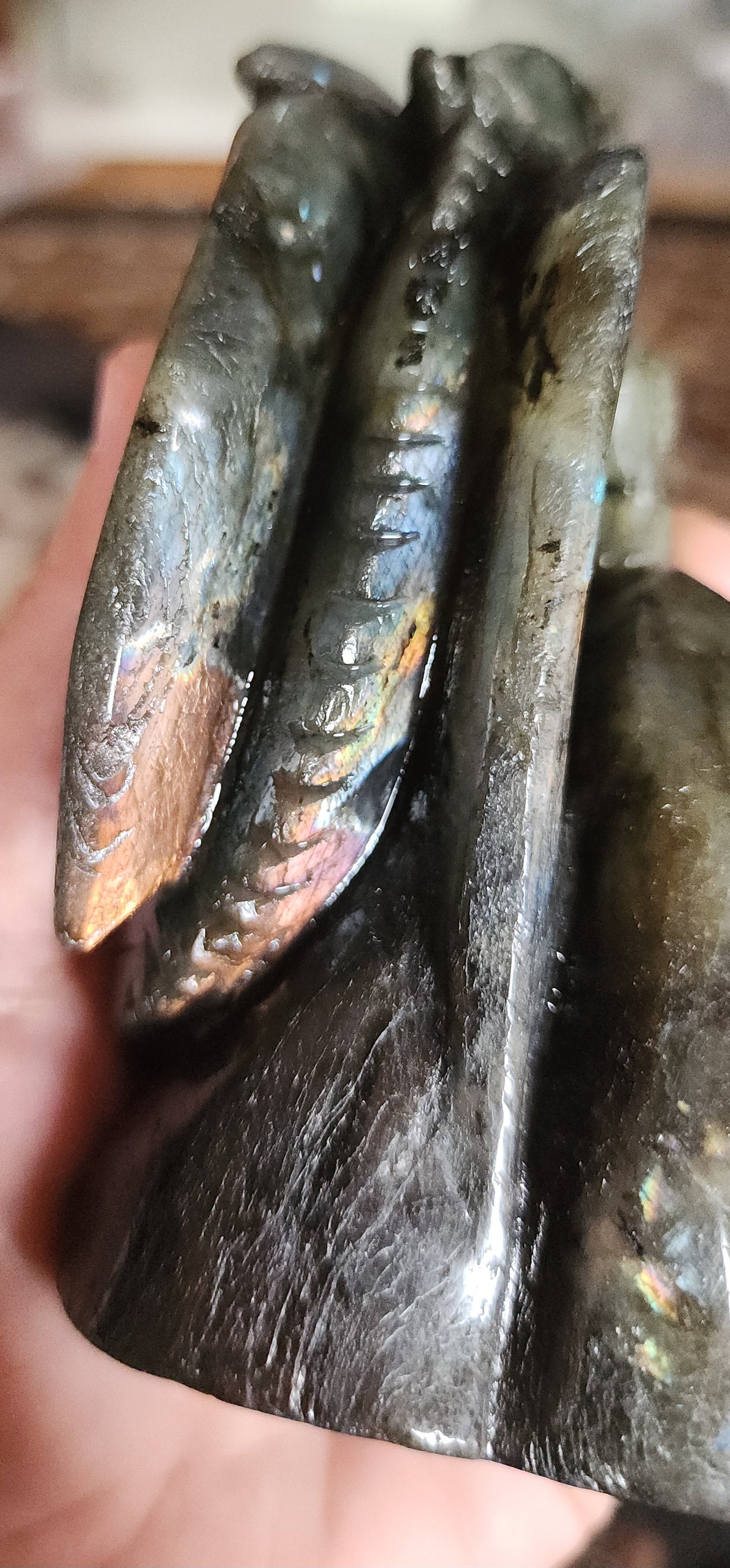 Labradorite Dragon