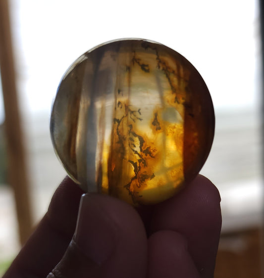 Dendritic Star Golden Healer Quartz Sphere