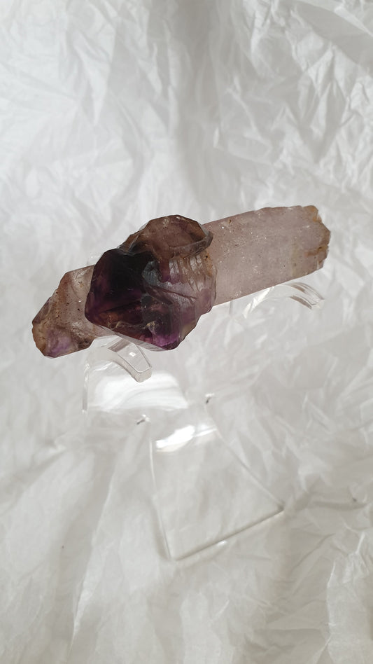 Shangaan Smoky Amethyst Scepter Enhydro