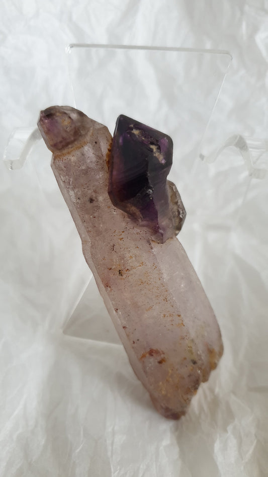 Shangaan Smoky Amethyst Scepter Enhydro