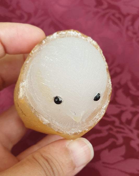 Agate Chick