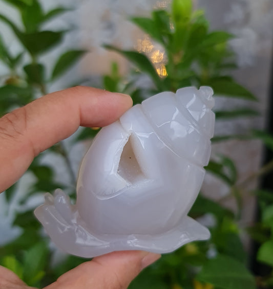 Agate Snail with Druzy Cave