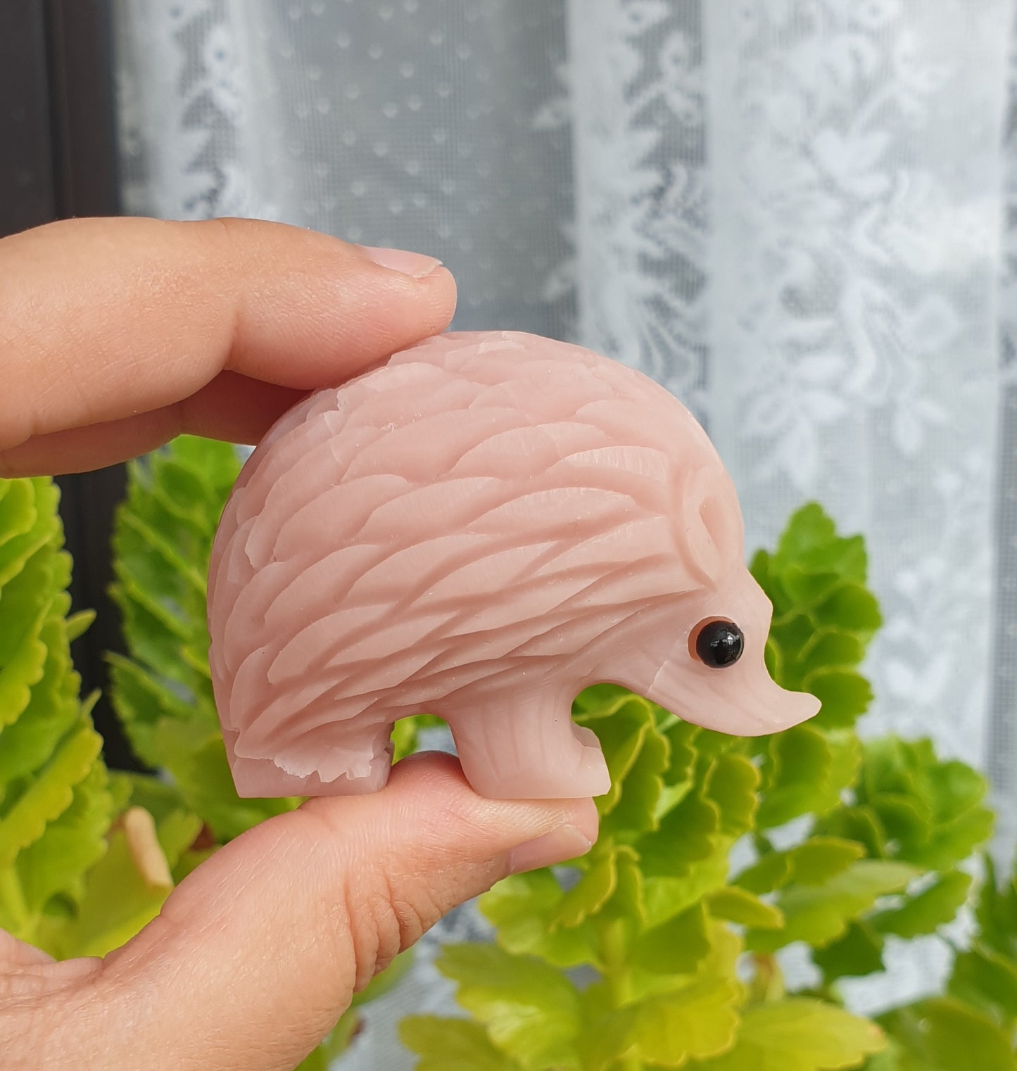 Pink Opal Hedgehog - Small