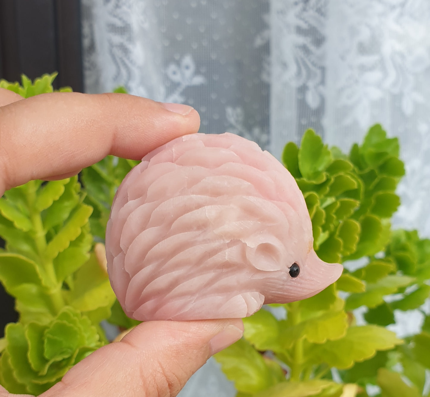 Pink Opal Hedgehog - Small