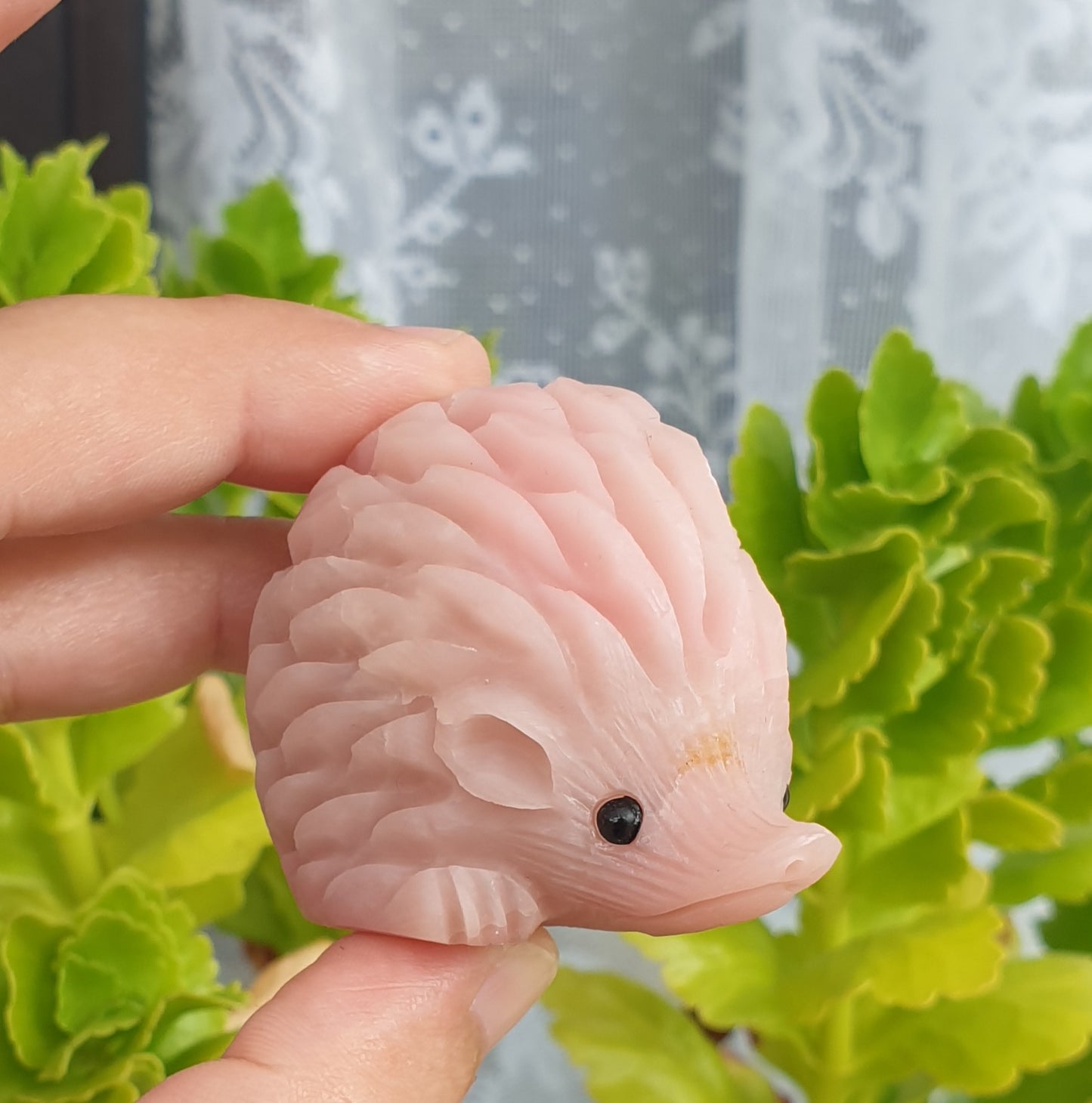 Pink Opal Hedgehog - Small