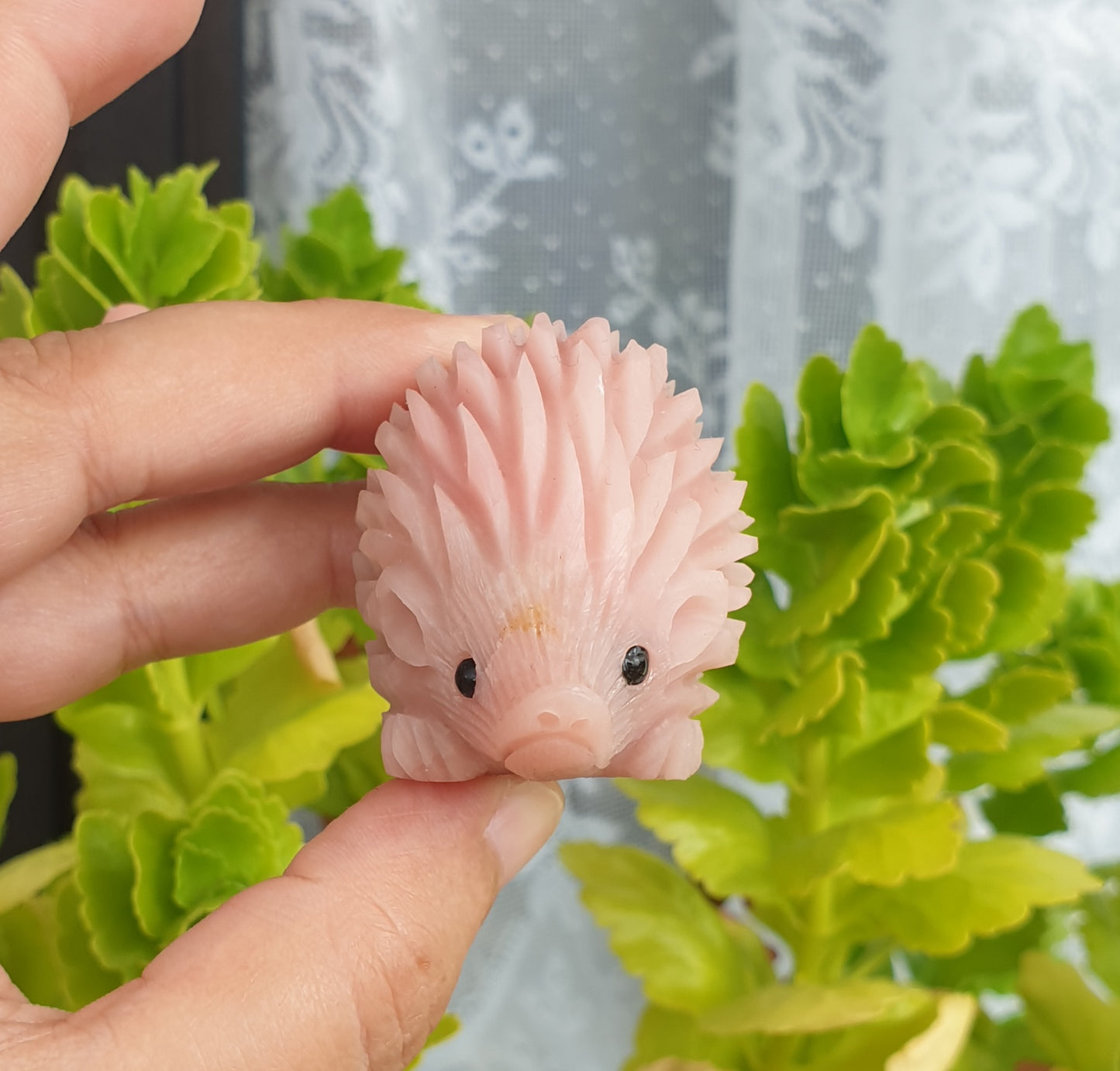 Pink Opal Hedgehog - Small