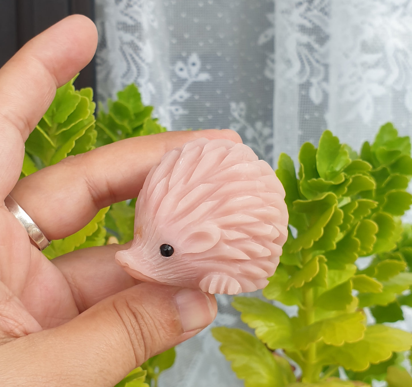 Pink Opal Hedgehog - Small