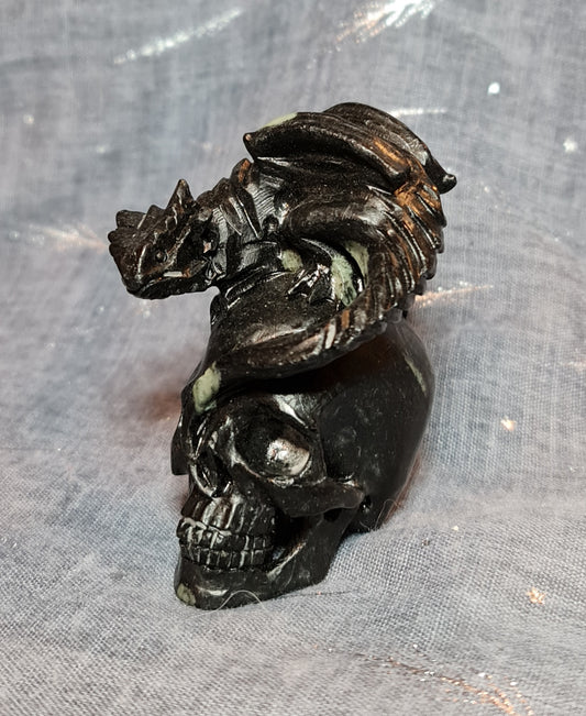 Black Fossil Jasper Dragon On Skull