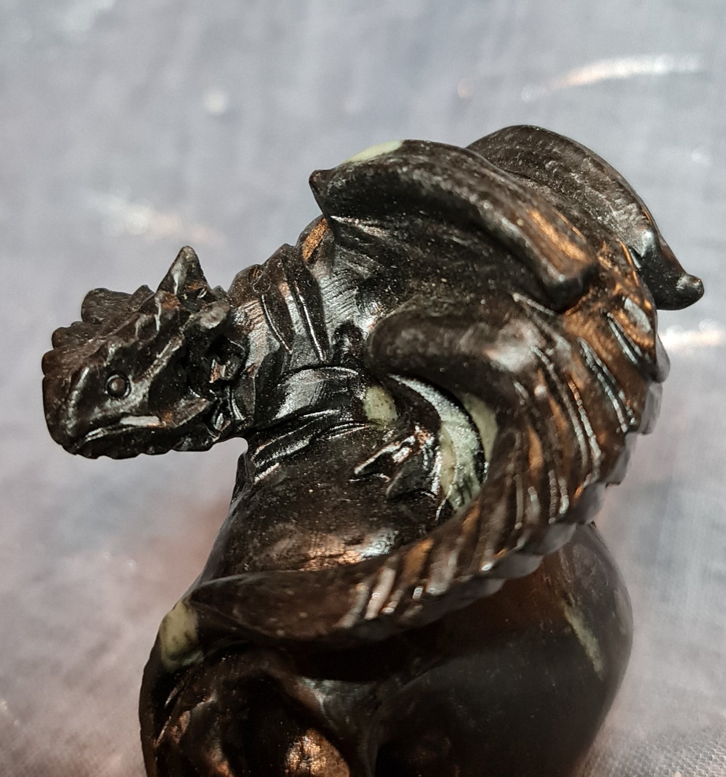 Black Fossil Jasper Dragon On Skull