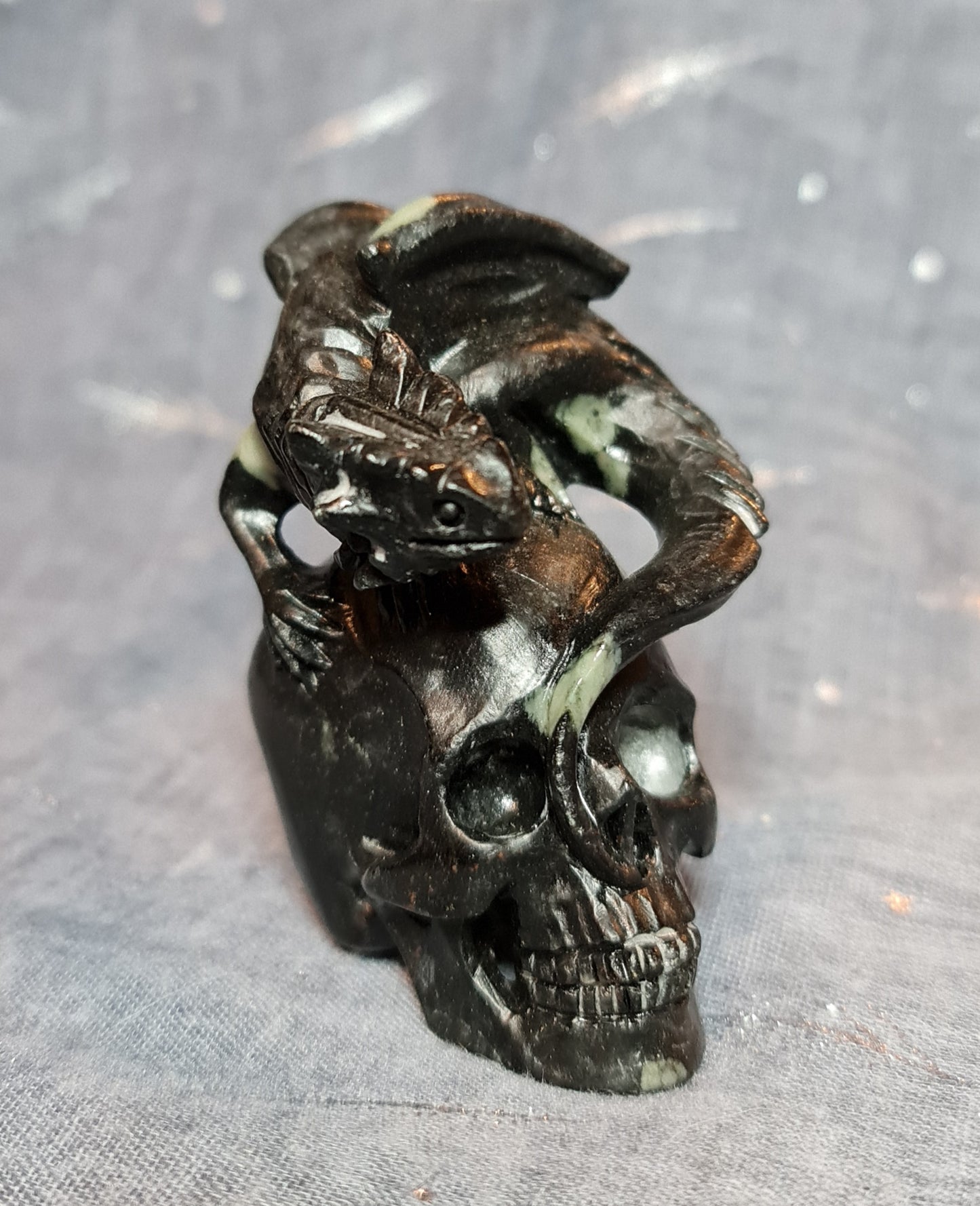 Black Fossil Jasper Dragon On Skull